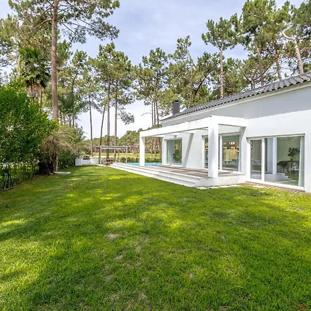 Aroeira Modern Grand With Pool By Homing * Aroeira (Setubal)